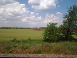 2014-06-05 13.23.13